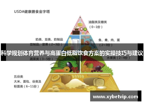 科学规划体育营养与高蛋白低脂饮食方案的实操技巧与建议